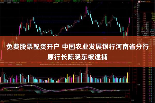 免费股票配资开户 中国农业发展银行河南省分行原行长陈晓东被逮捕