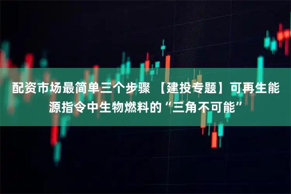 配资市场最简单三个步骤 【建投专题】可再生能源指令中生物燃料的“三角不可能”