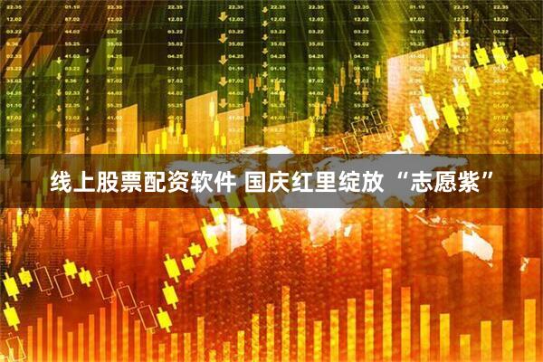 线上股票配资软件 国庆红里绽放 “志愿紫”