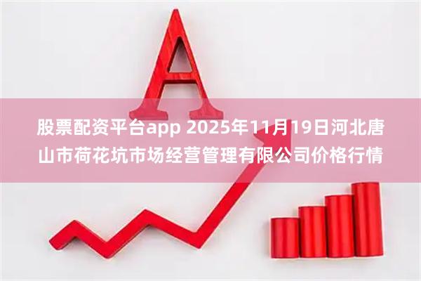 股票配资平台app 2025年11月19日河北唐山市荷花坑市场经营管理有限公司价格行情
