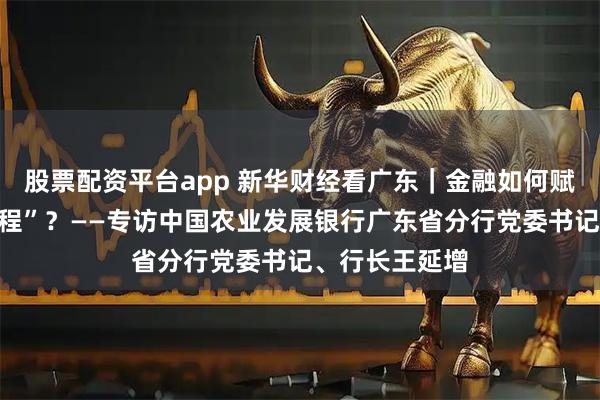 股票配资平台app 新华财经看广东｜金融如何赋能“百千万工程”？——专访中国农业发展银行广东省分行党委书记、行长王延增